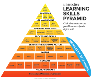 Learning Skills Pyramid: Academics, Life Management, Communication Processing skills, Sensory/Perceptual, Motor, Near Reflxes